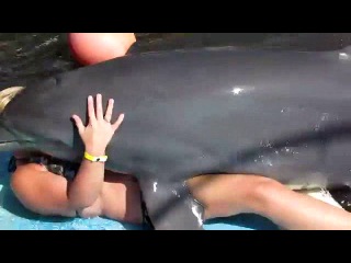 Dolphin Fucks Woman 30